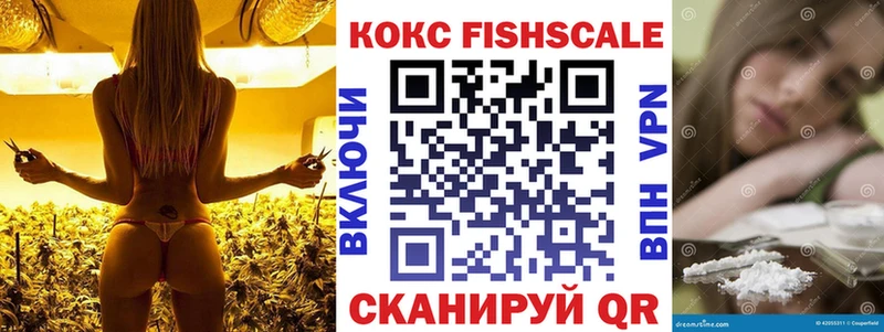 продажа наркотиков  Ивдель  COCAIN Эквадор 