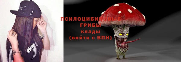 дживик Алексеевка