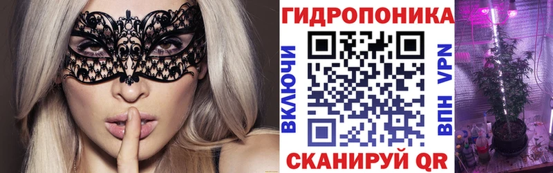 Бошки Шишки Amnesia  Ивдель 